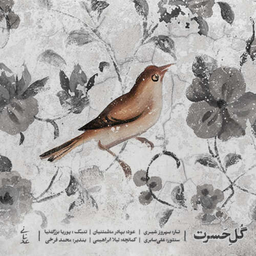 دانلود آهنگ محمد عدنانی گلِ حسرت